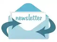 Image result for newsletter